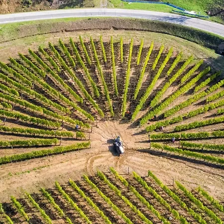 农家乐 Cascina Bine