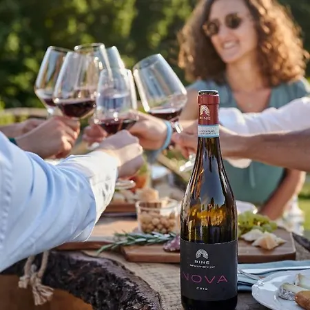 Cascina Bine 农家乐 *