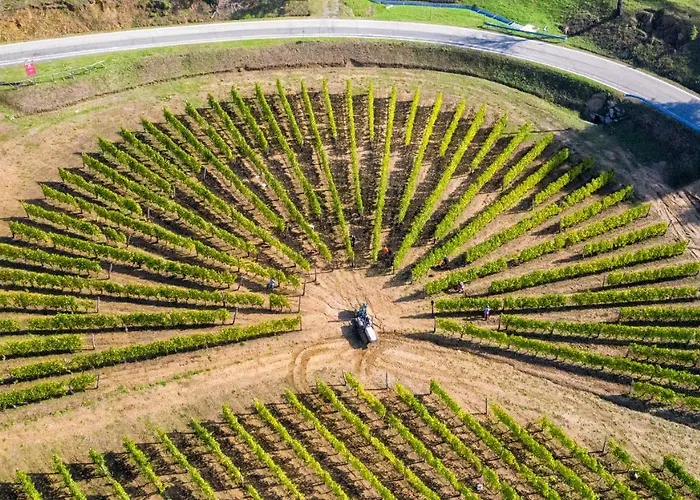 Agroturismo Cascina Bine