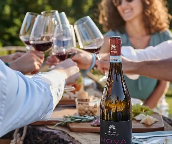 Cascina Bine Agroturismo *